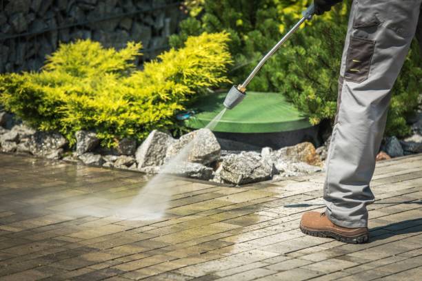 Best Oil Spill Cleanup  in Shawneetown, IL