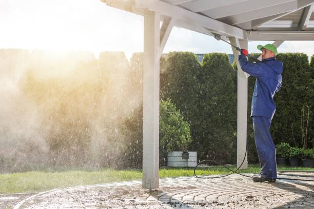 Professional Pressure Washing Services in Shawneetown, IL