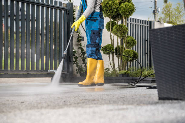 Best Spring Cleaning  in Shawneetown, IL